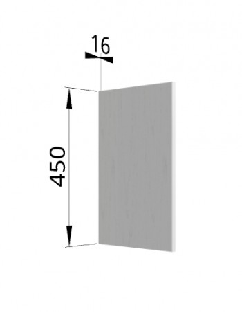 Панель торцевая (для шкафа горизонтального высокого) ВПГ Гранд (Белый) в Чулыме - chulym.mebel54.com | фото