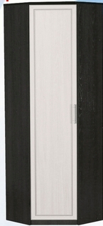 Шкаф для одежды угловой ДЛЯ ГОСТИНОЙ ШОУ-695 Венге/Дуб выбеленный в Чулыме - chulym.mebel54.com | фото